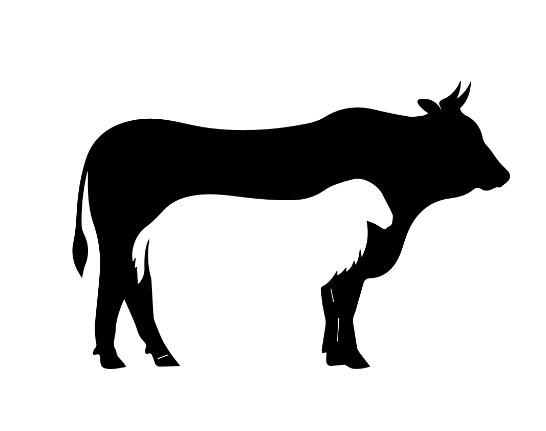 vettechealthcare