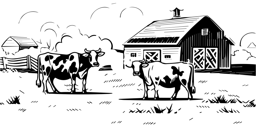vettechealthcare.com